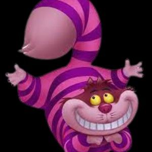 Meet your Posher, Benji